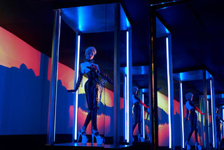 Poppy feet photo thumbnail