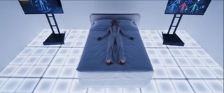 Poppy feet photo thumbnail