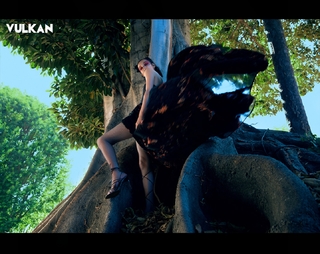 Poppy feet photo thumbnail