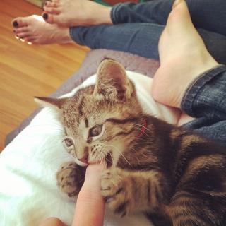 Portia Doubleday feet photo thumbnail