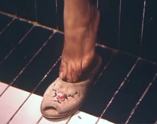 Poussi feet photo 7