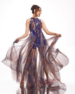 Pragya Jaiswal feet photo thumbnail