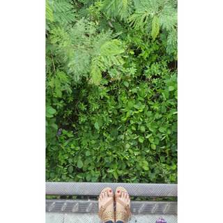 Prajakta Koli feet photo thumbnail