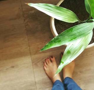 Prajakta Koli feet photo thumbnail