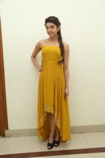 Pranitha feet photo 7