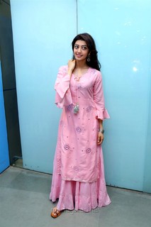 Pranitha feet photo 19