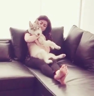 Pranitha feet photo 11
