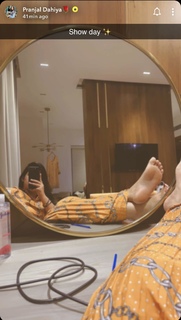Pranjal Dahiya feet photo 14
