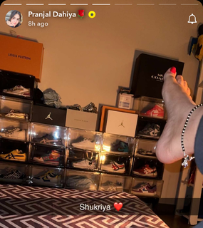 Pranjal Dahiya feet photo 8