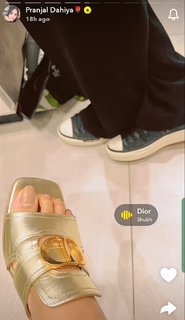 Pranjal Dahiya feet photo 1