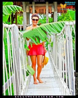 Preity G Zinta feet photo thumbnail