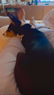 Preta Gil feet photo 16