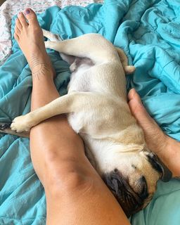 Priscila Fantin feet photo thumbnail