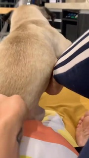 Priscila Fantin feet photo thumbnail