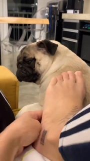 Priscila Fantin feet photo thumbnail