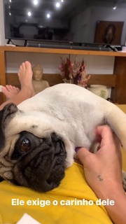 Priscila Fantin feet photo thumbnail