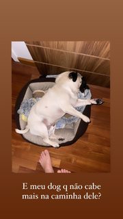 Priscila Fantin feet photo thumbnail