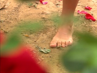 Priscila Fantin feet photo thumbnail