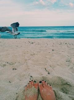 Priscilla Alcântara feet photo thumbnail