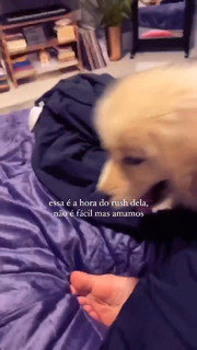 Priscilla Alcântara feet photo thumbnail