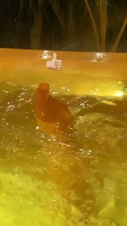 Priscilla Alcântara feet photo thumbnail