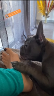 Priscilla Betti feet photo thumbnail