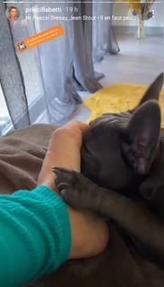 Priscilla Betti feet photo thumbnail