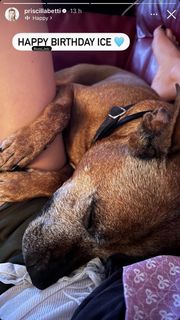 Priscilla Betti feet photo thumbnail