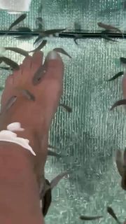 Priscilla Betti feet photo thumbnail