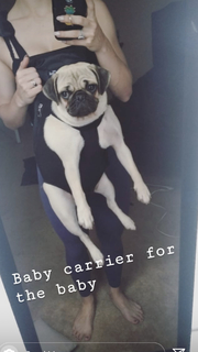 Priscilla Kelly feet photo thumbnail