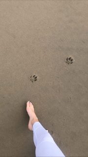 Priscilla Quintana feet photo 4