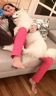 Priscilla Sol feet photo 9