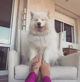 Priscilla Sol feet photo 6