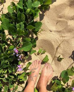 Priscilla Sol feet photo 4