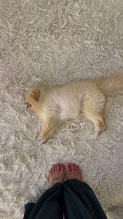 Priscilla Sol feet photo 1