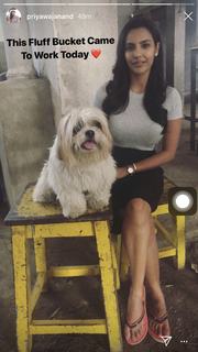 Priya Anand feet photo thumbnail