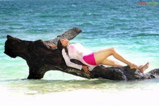 Priyamani feet photo thumbnail