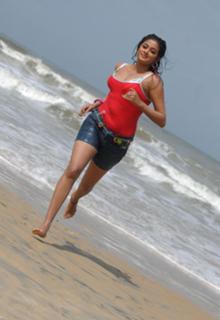Priyamani feet photo thumbnail