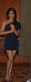 Priyanka Chopra Jonas feet photo thumbnail