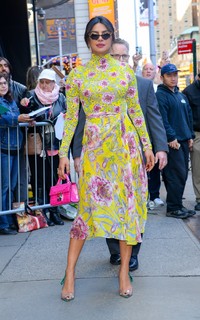 Priyanka Chopra Jonas feet photo thumbnail