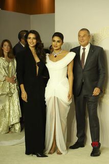 Priyanka Chopra Jonas feet photo thumbnail