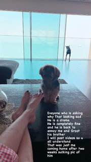 Puja Gupta feet photo 16