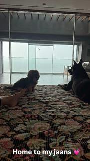Puja Gupta feet photo 13