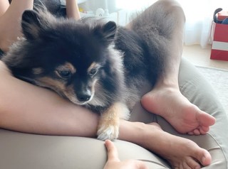 Pyo Eun-Ji feet photo 14