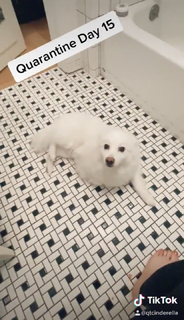 QTCinderella feet photo thumbnail