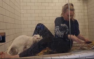 QTCinderella feet photo thumbnail