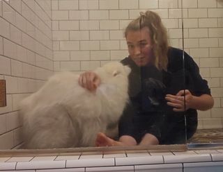 QTCinderella feet photo thumbnail