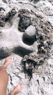 Qimmah Russo feet photo thumbnail