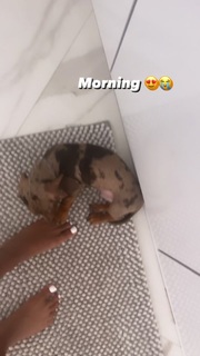 Qimmah Russo feet photo thumbnail