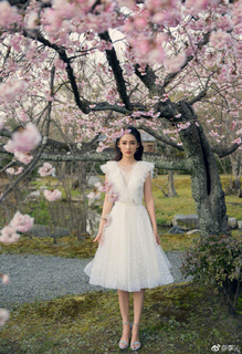 Qin Li feet photo 7